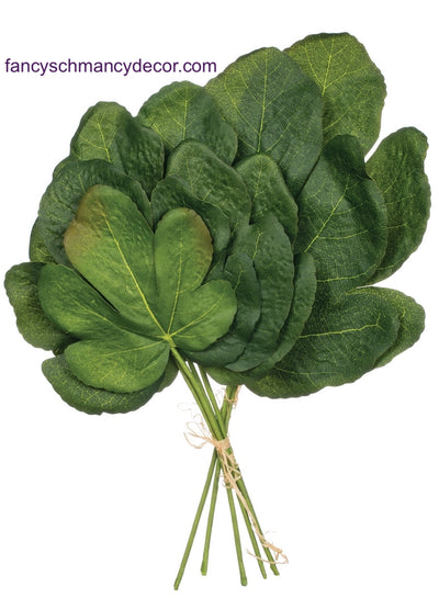 Fig Leaf Bundle