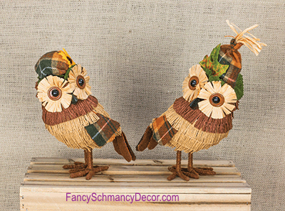 Fall Foliage Owl Assorted 2