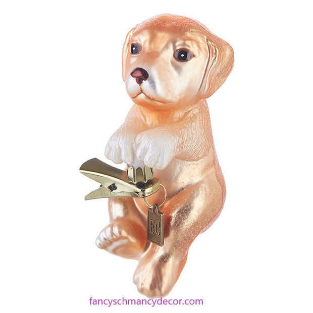 EC 4.25" Clip-On Hang in There Puppy Ornament by RAZ Imports