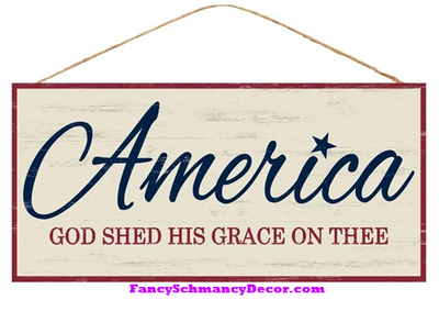 12.5" L X 6" W America God Shed His Grace Sign
