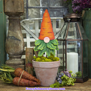 Carrot Gnome by The Round Top Collection