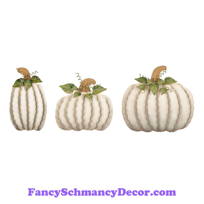 Cream Pumpkins Assorted Set of 3 by The Round Top Collection F19006