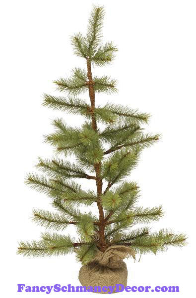 24" H Alaska Fir Pine Tree