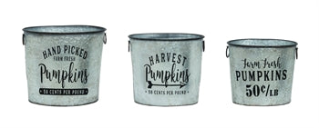 Nostalgic Pumpkin Bucket Set of 3