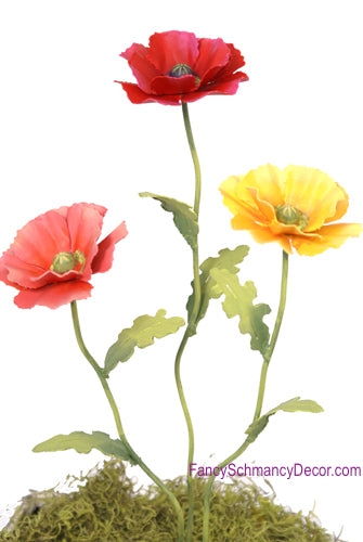 Poppy Stakes-Asst. 3 by The Round Top Collection S5060