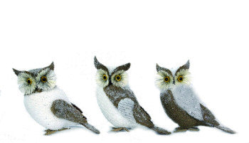 Iced Pine Owls - FancySchmancyDecor