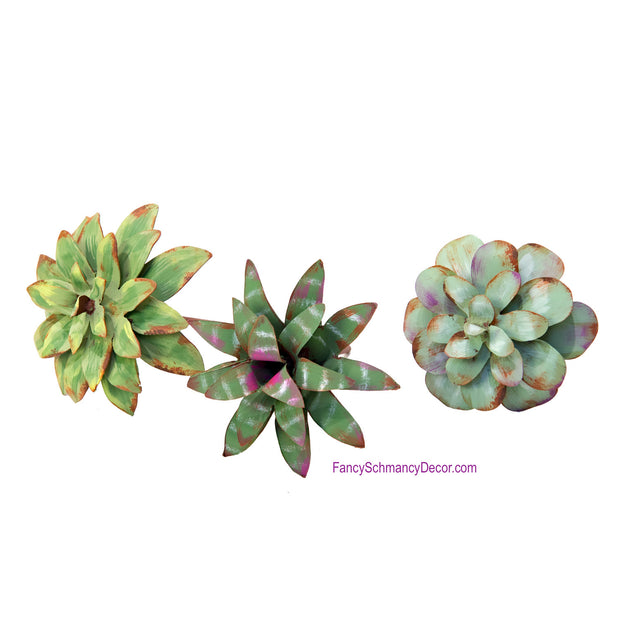 Metal Succulents by The Round Top Collection Y18248