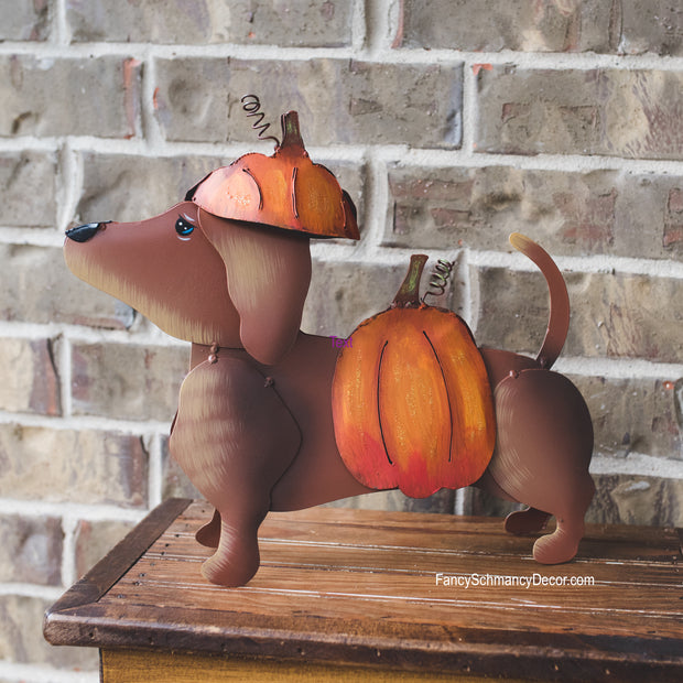 Dress-up Dachshund Pumpkin by The Round Top Collection