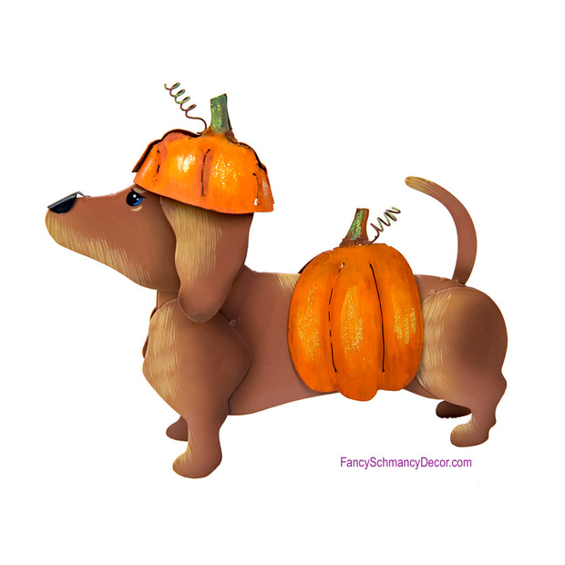 Dress-up Dachshund Pumpkin by The Round Top Collection